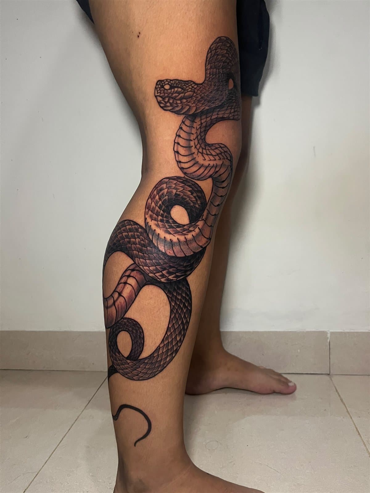 Black & grey coiled snake, leg